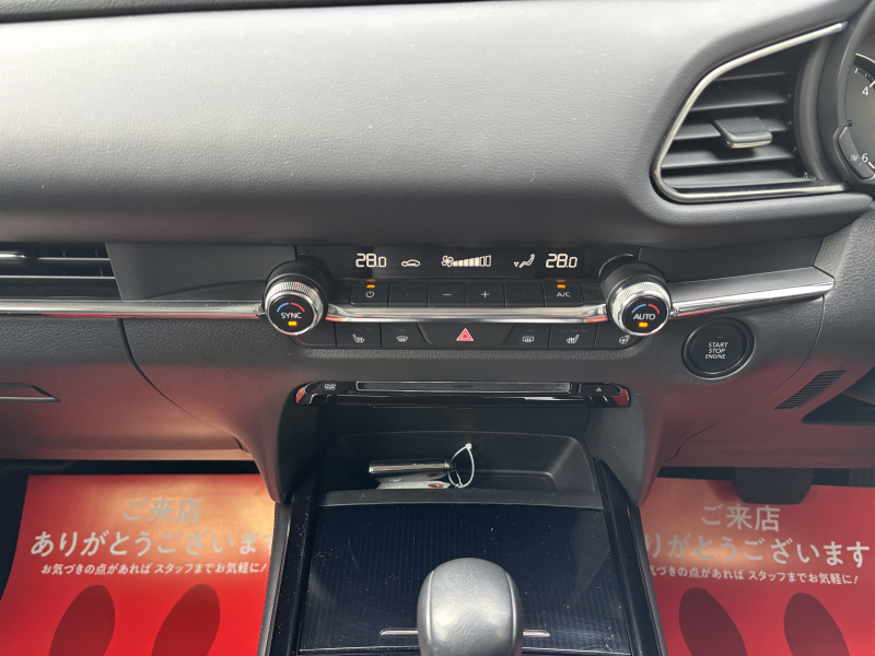 car thumbnails