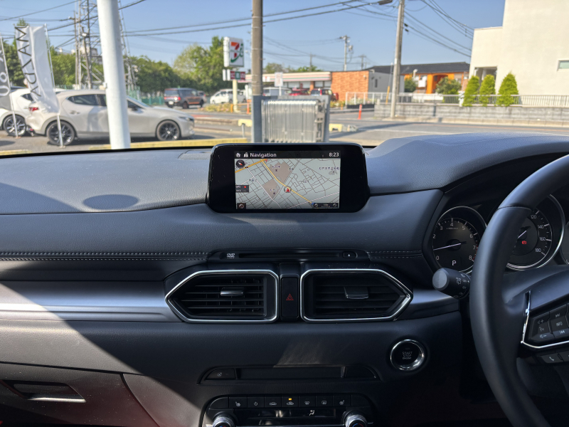car thumbnails