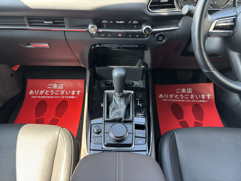 car thumbnails