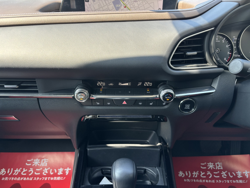 car thumbnails